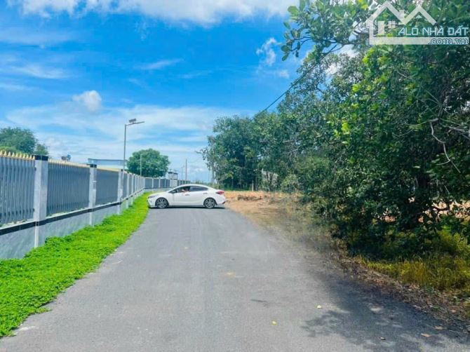 4104419 ảnh đại diện 2