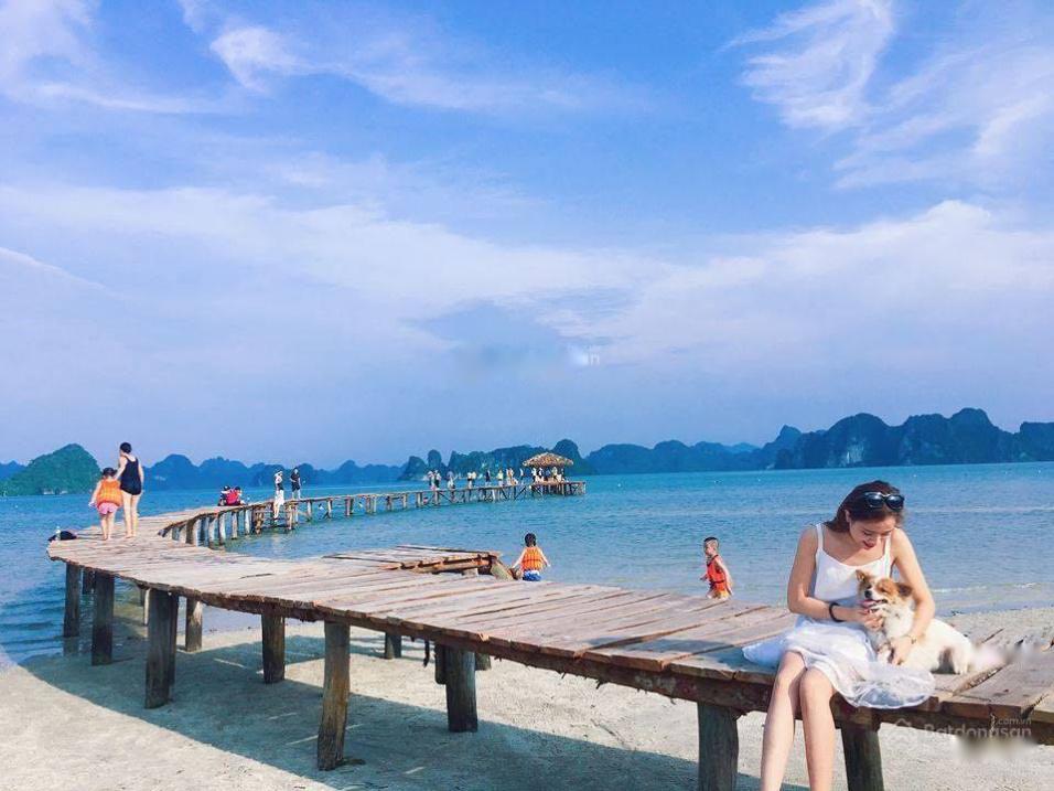 4102172 ảnh đại diện 2