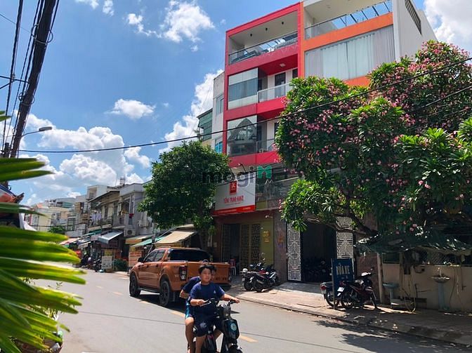 4103666 ảnh đại diện 1