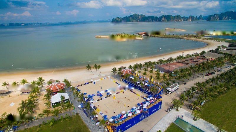 4102172 ảnh đại diện 1