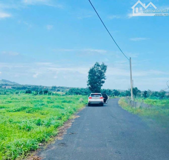 4104419 ảnh đại diện 1