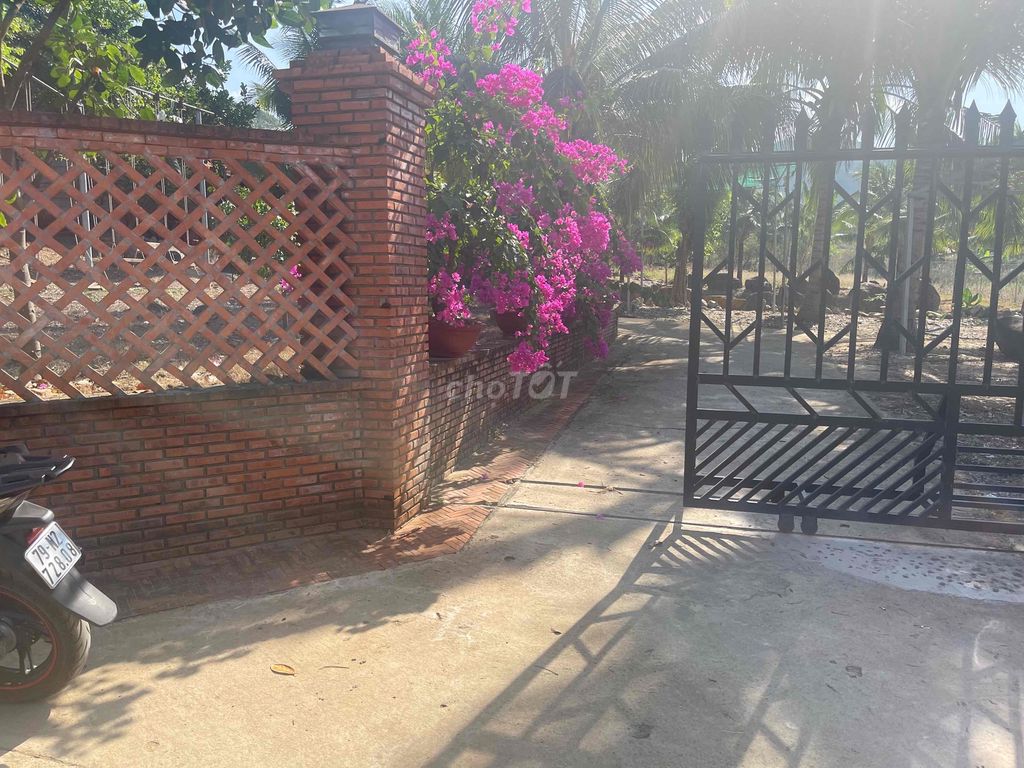 4103165 ảnh đại diện 1