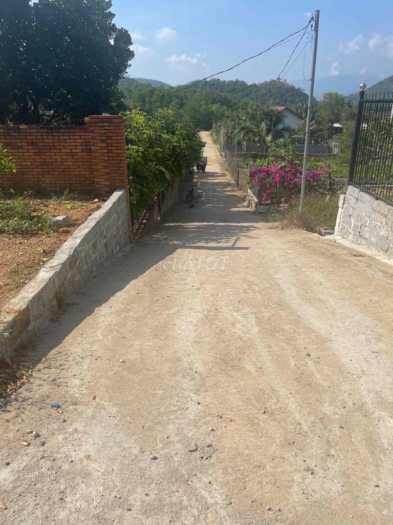 4103165 ảnh đại diện 2