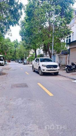 4103126 ảnh đại diện 1