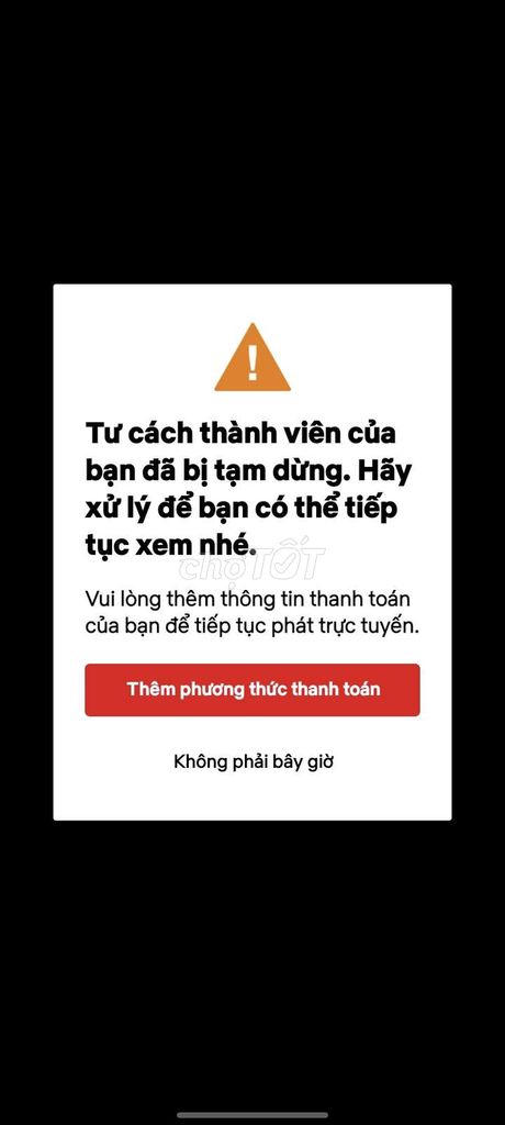 4101230 ảnh đại diện 1