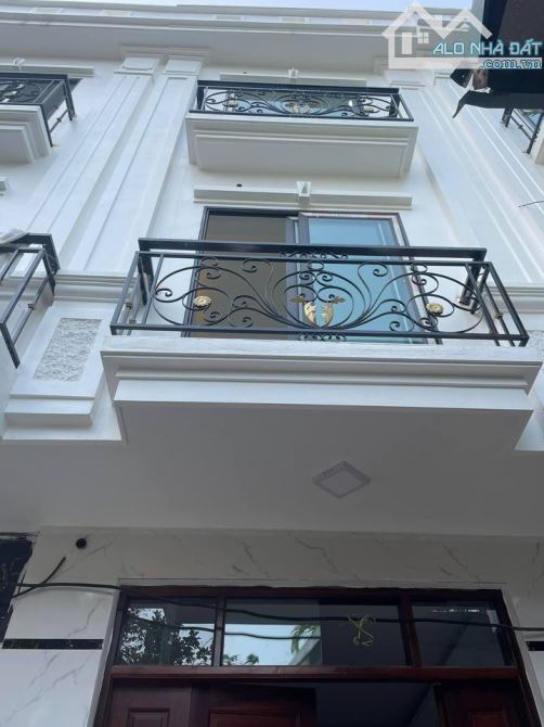 4104598 ảnh đại diện 1