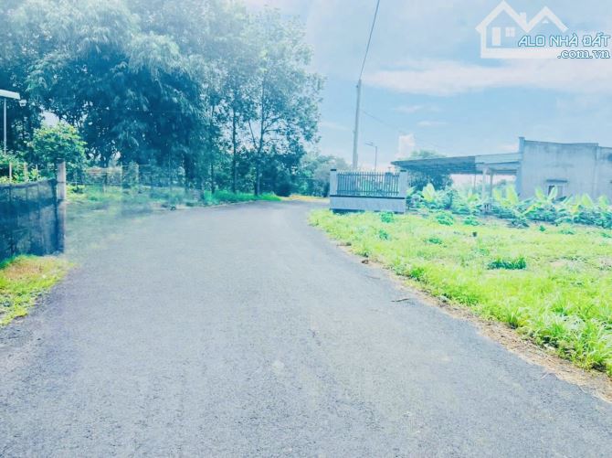 4104419 ảnh đại diện 1