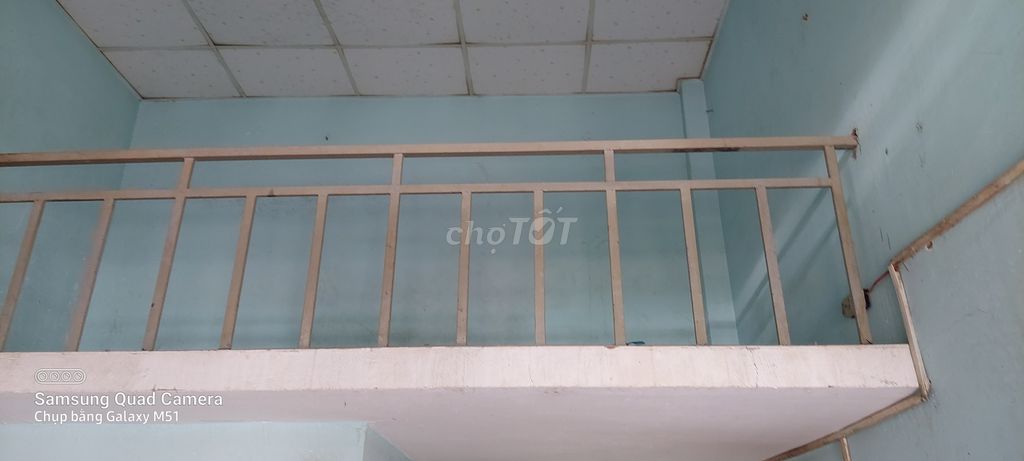 4102246 ảnh đại diện 1