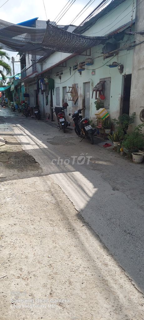 4102246 ảnh đại diện 2