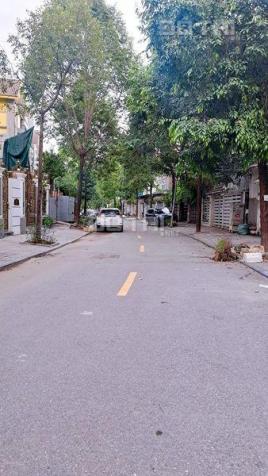 4103126 ảnh đại diện 2