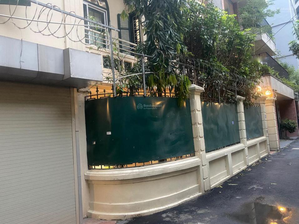 4102181 ảnh đại diện 1