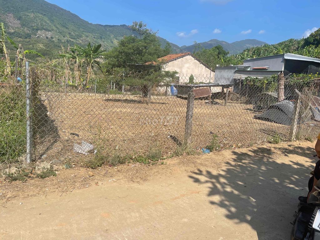 4103165 ảnh đại diện 1