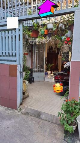 4104319 ảnh đại diện 1