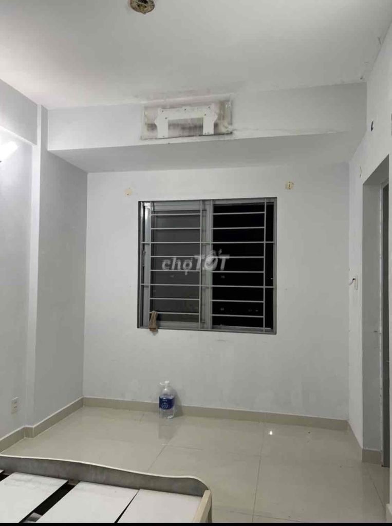 4105263 ảnh đại diện 2