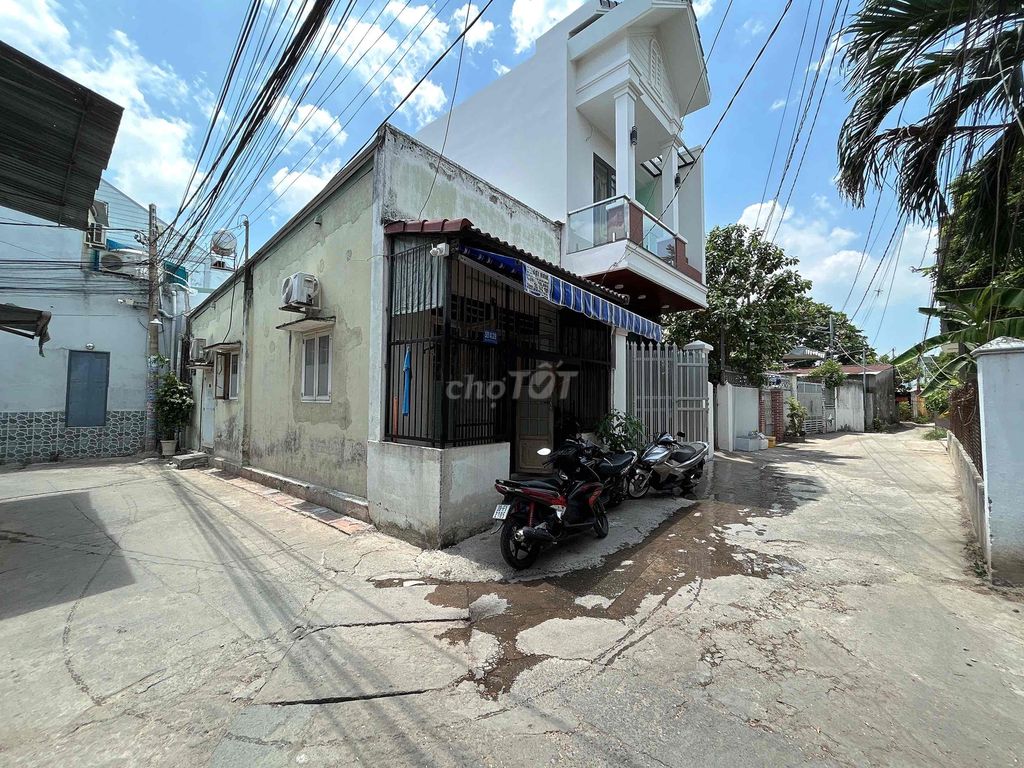 4105134 ảnh đại diện 2