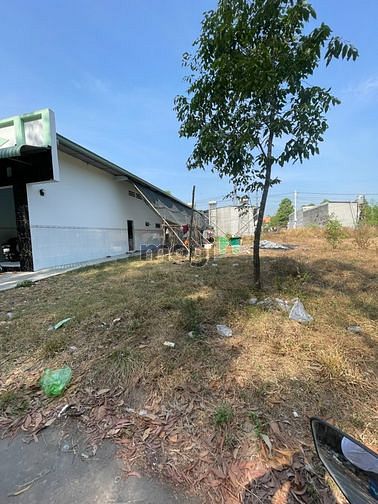 4107546 ảnh đại diện 1