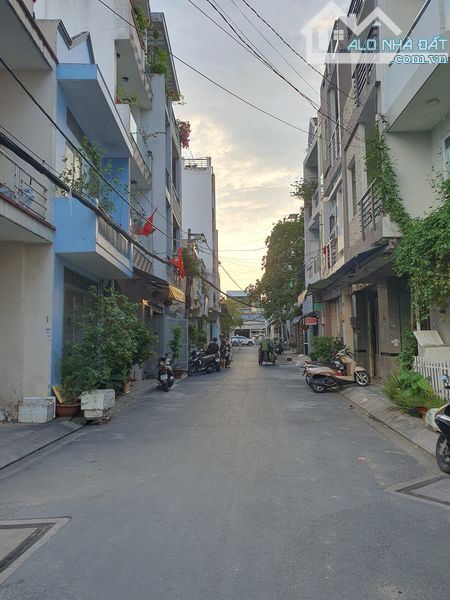 4106270 ảnh đại diện 1