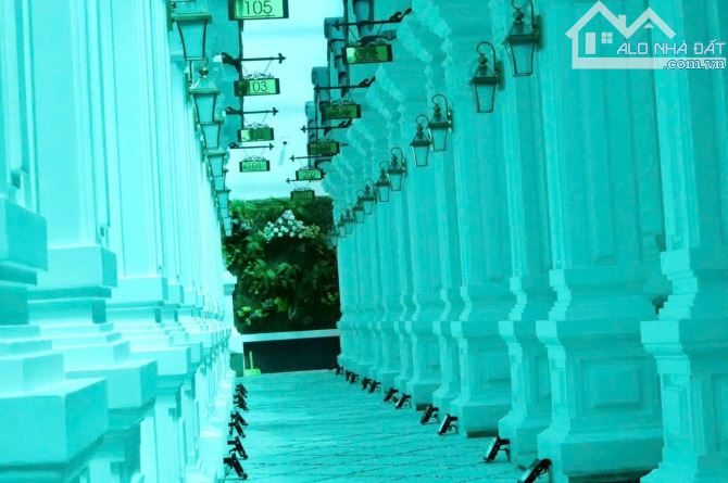 4106711 ảnh đại diện 1