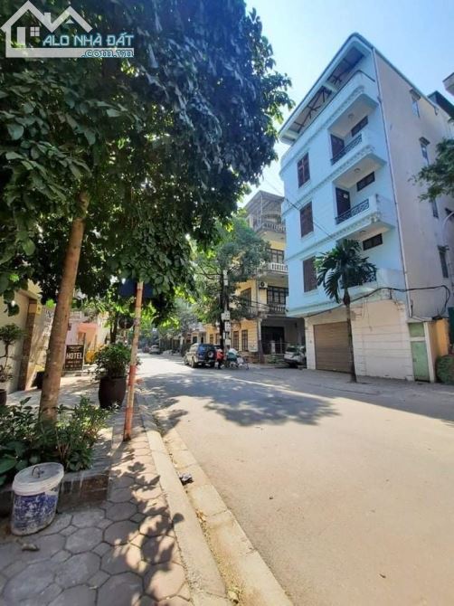 4105743 ảnh đại diện 1