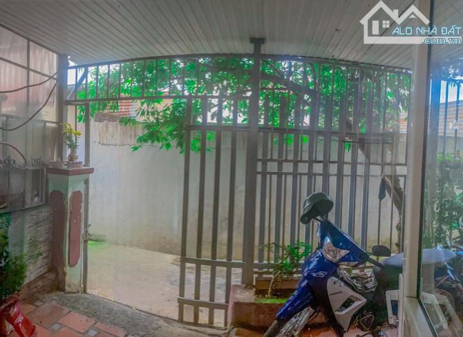 4107686 ảnh đại diện 1