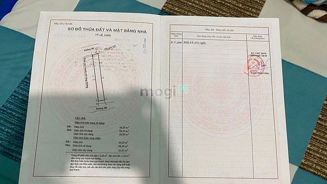 4106246 ảnh đại diện 1