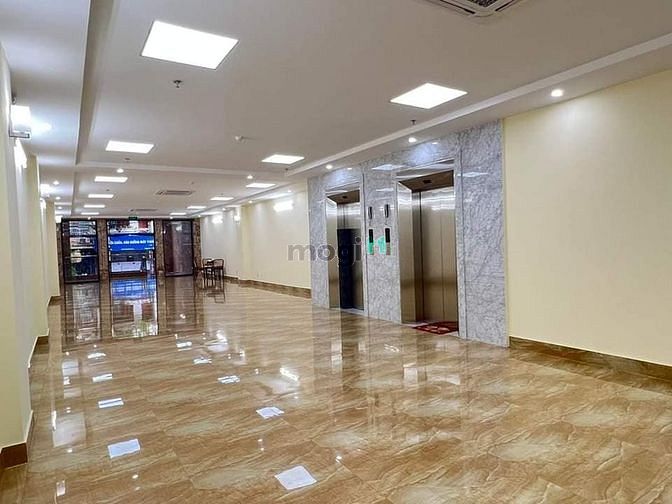 4106862 ảnh đại diện 1