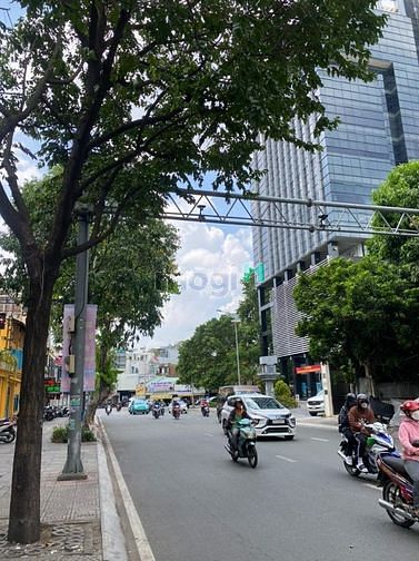 4109214 ảnh đại diện 1