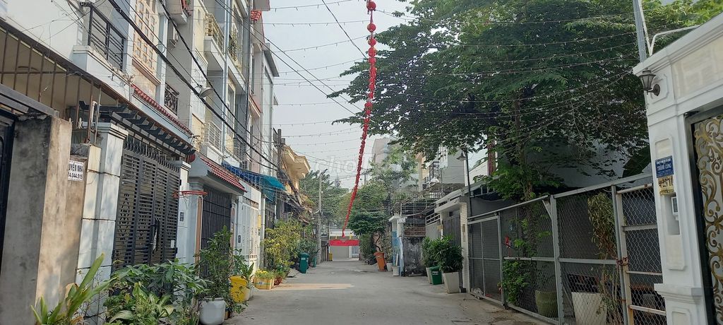 4105483 ảnh đại diện 1
