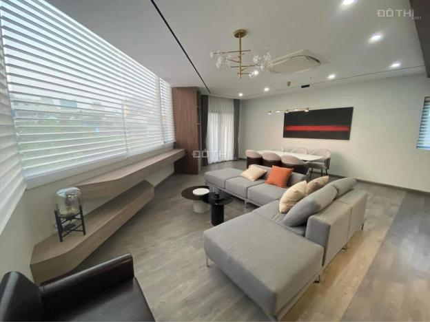 4107552 ảnh đại diện 1