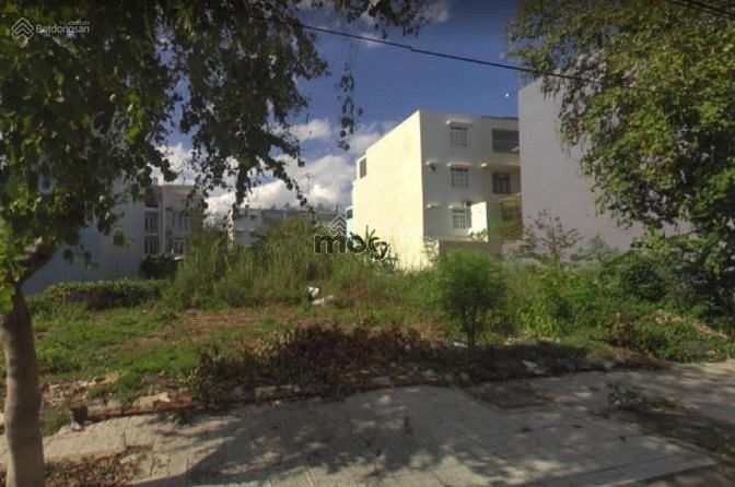 4106319 ảnh đại diện 1