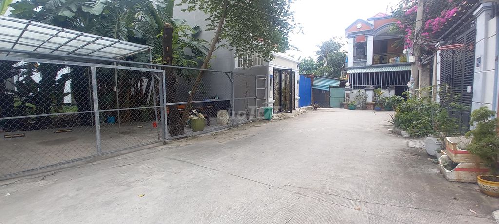 4105483 ảnh đại diện 2