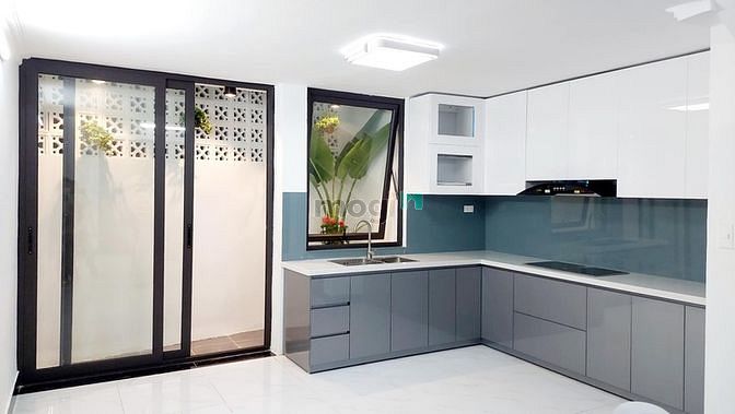 4106281 ảnh đại diện 2