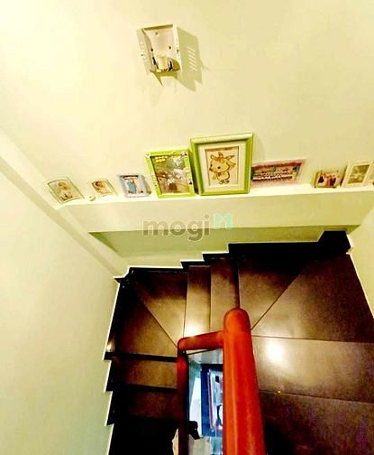 4108149 ảnh đại diện 2