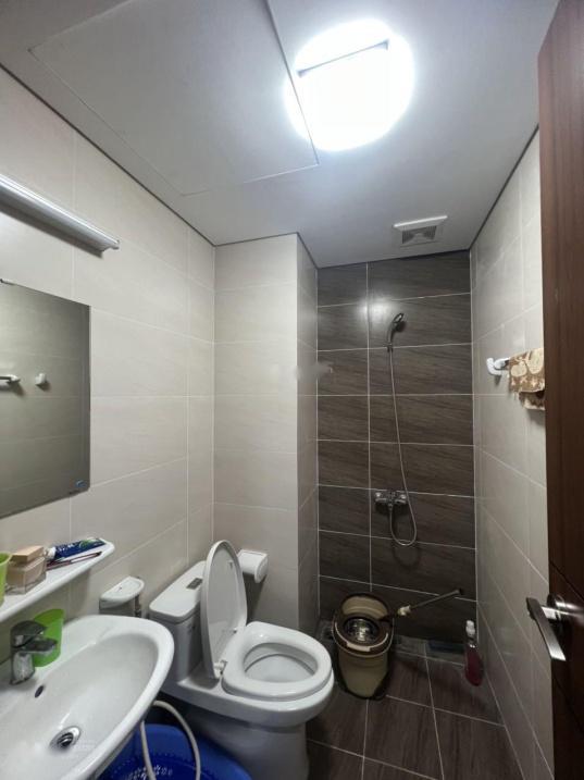 4105045 ảnh đại diện 2