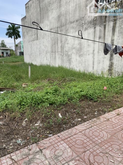4113198 ảnh đại diện 1