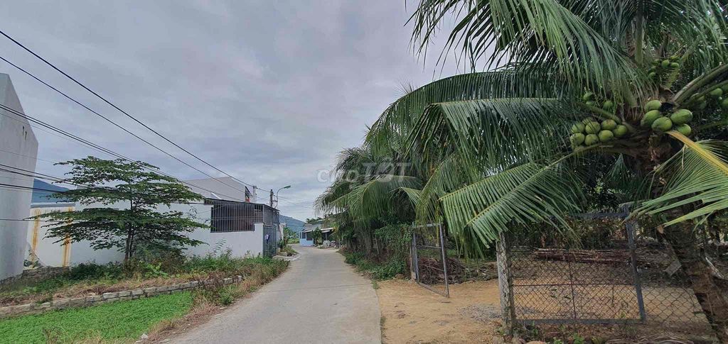 4110417 ảnh đại diện 2