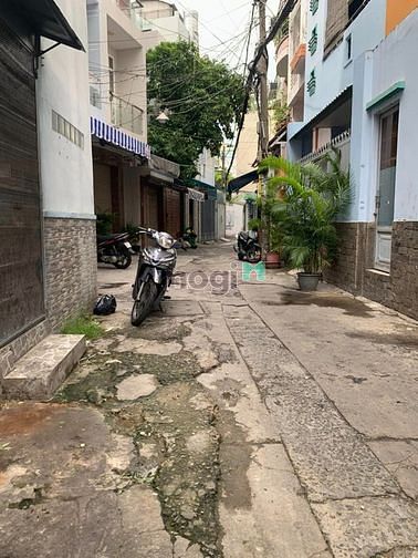 4110105 ảnh đại diện 1