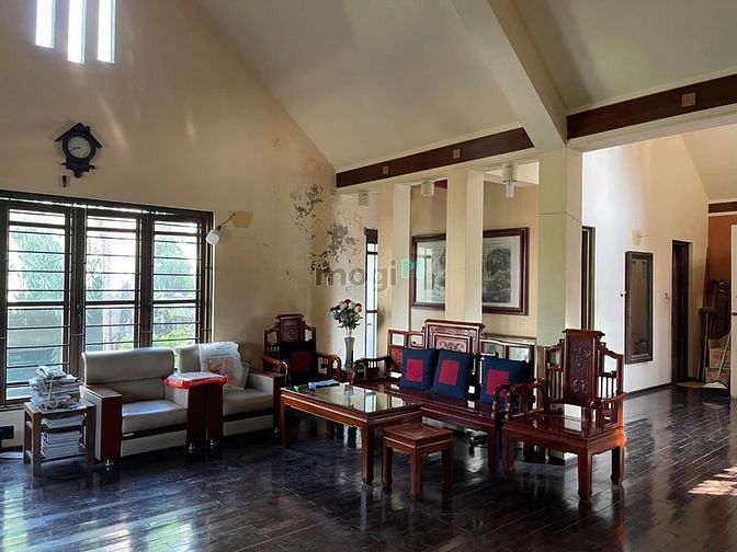 4109723 ảnh đại diện 1