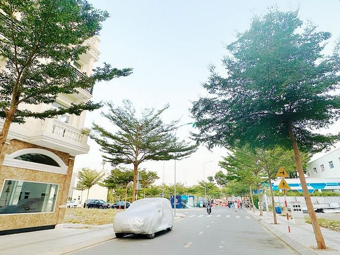 4109908 ảnh đại diện 2
