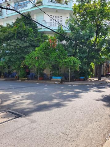 4111251 ảnh đại diện 1