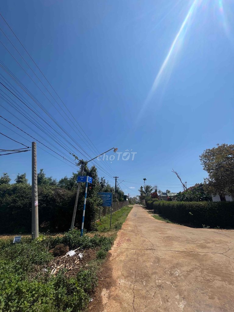 4109931 ảnh đại diện 2