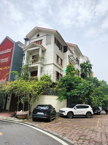 4111441 ảnh đại diện 1