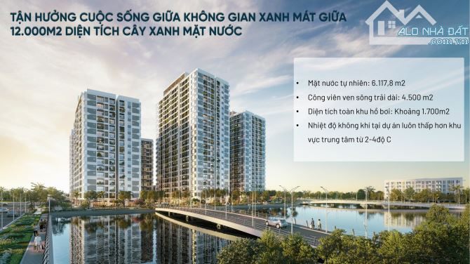 4112091 ảnh đại diện 1