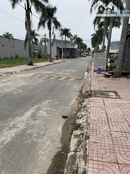 4113198 ảnh đại diện 1