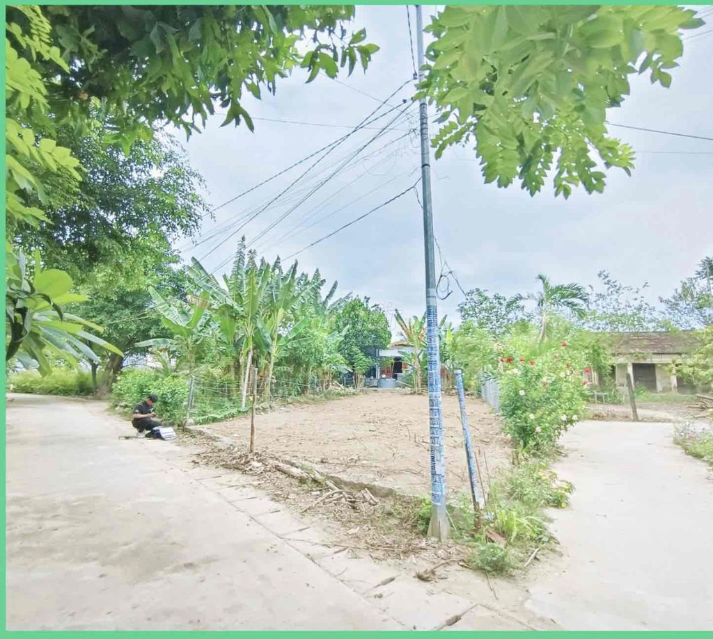 4110401 ảnh đại diện 2