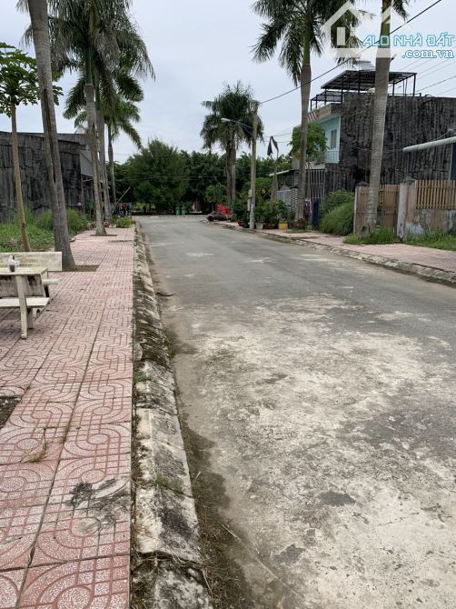 4113198 ảnh đại diện 2