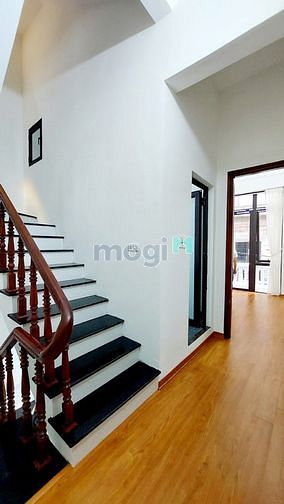 4111991 ảnh đại diện 1
