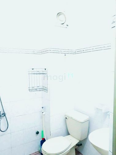 4110925 ảnh đại diện 1