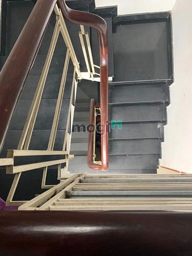 4110105 ảnh đại diện 1