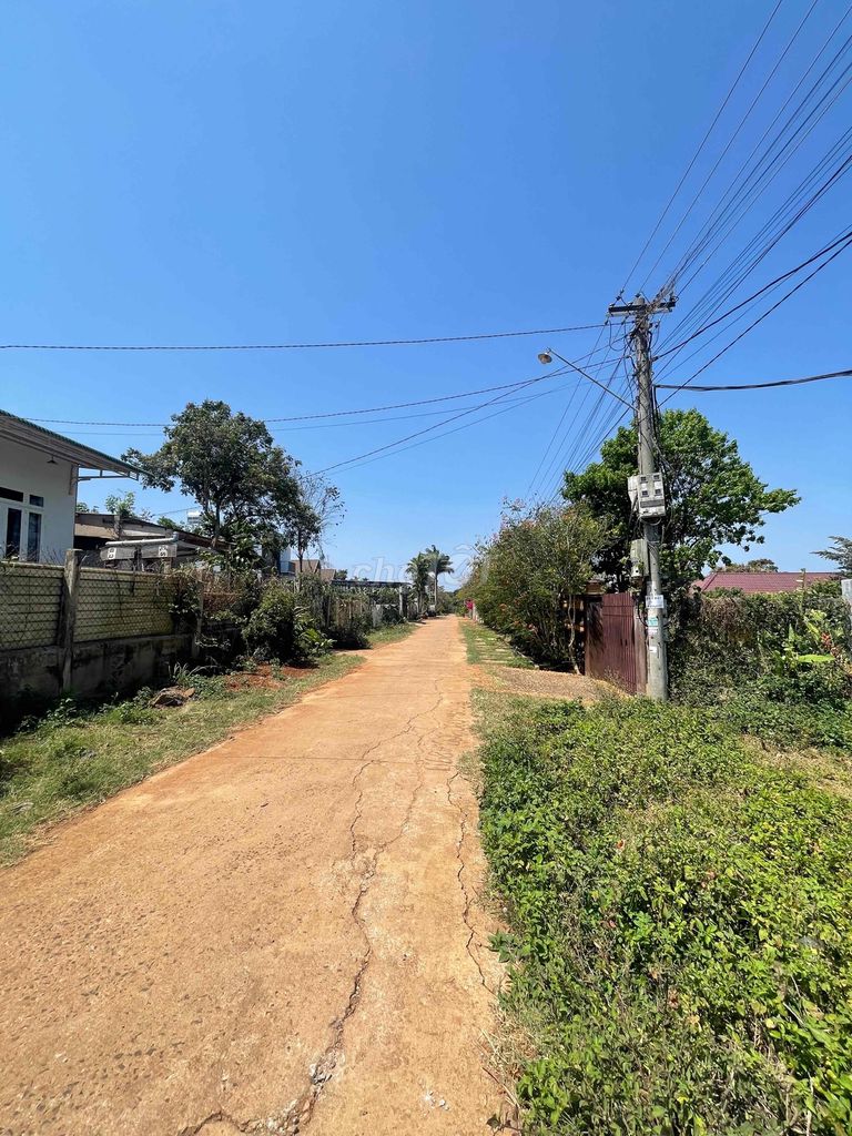 4109931 ảnh đại diện 1